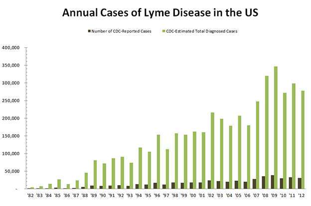 Annual Cases of Lyme Disease in the US