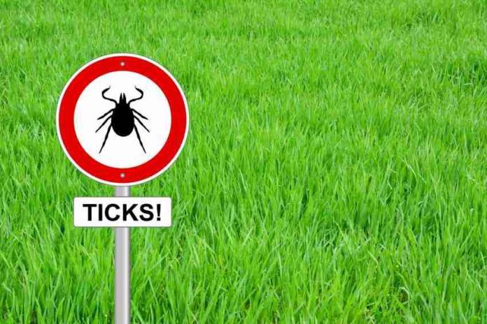 Lyme Disease: 13 Common Myths Exposed from ThinkStock