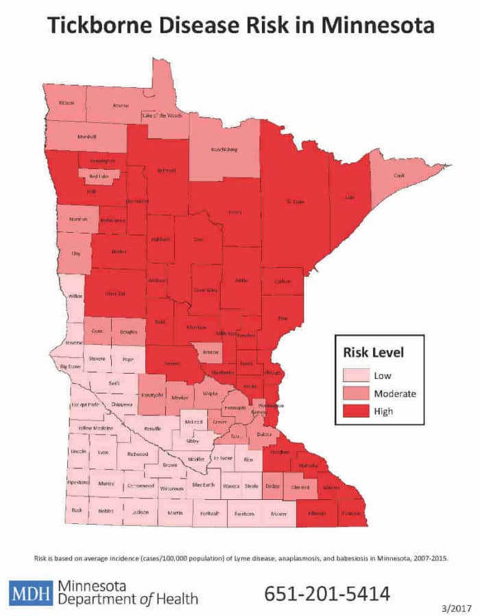 Tickborne Disease Risk in Minnesota